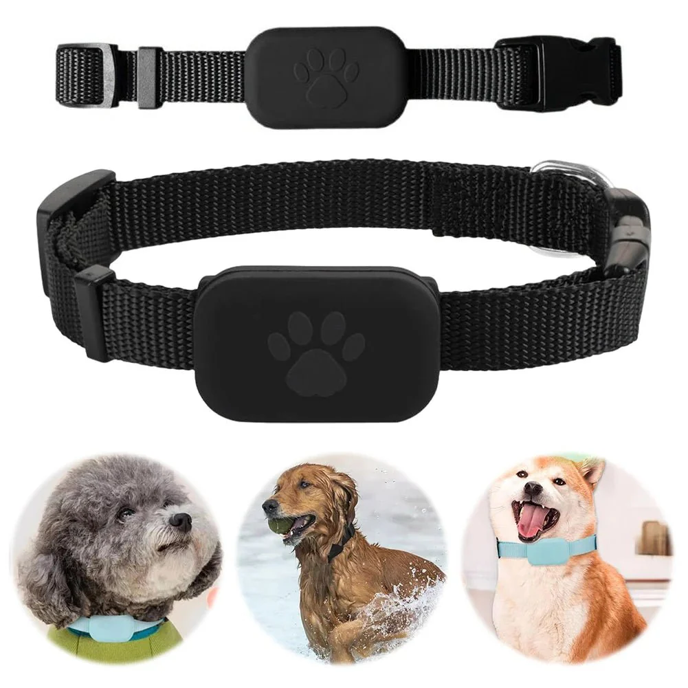 LOSTLESS – Intelligent GPS Pet Tracker with Adjustable Collar for Dogs and Cats - Image 6