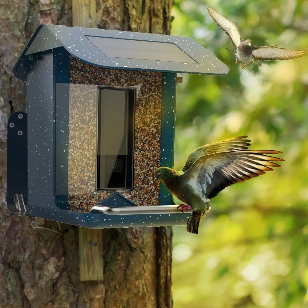 NESTECH – Smart Camera Bird Feeder with Remote Control via App