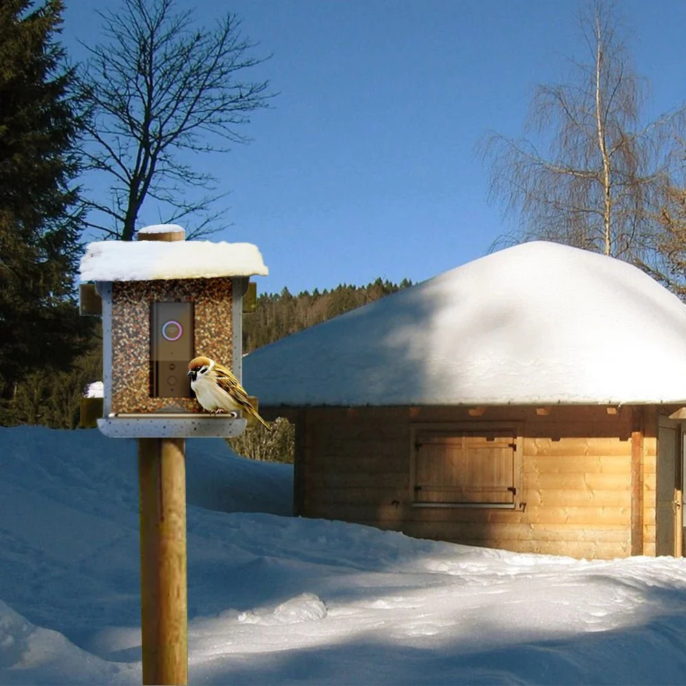 NESTECH – Smart Camera Bird Feeder with Remote Control via App - Image 4