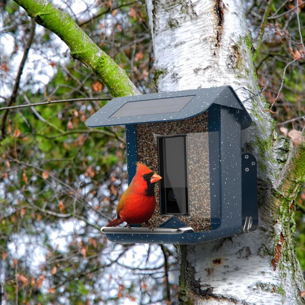 NESTECH – Smart Camera Bird Feeder with Remote Control via App - Image 5