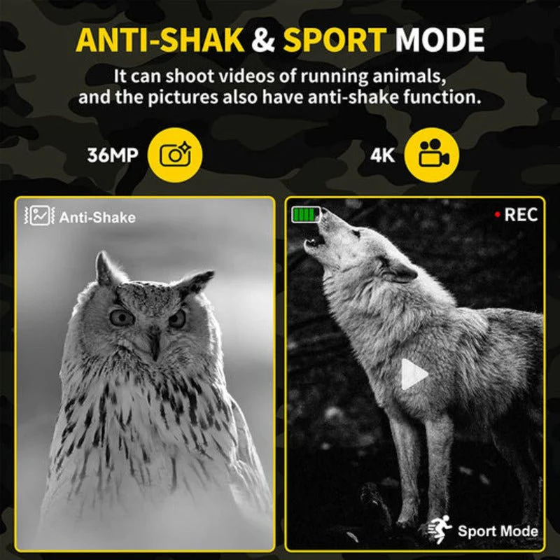 NOCTIVIEW – Digital infrared night vision binoculars with 4K resolution & 36MP camera - Image 6