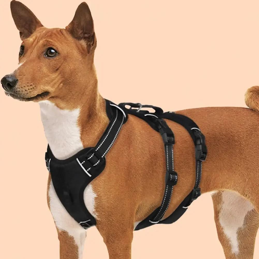 NoPull nylon dog harness - Reflective & escape-proof for relaxed walks - Image 3