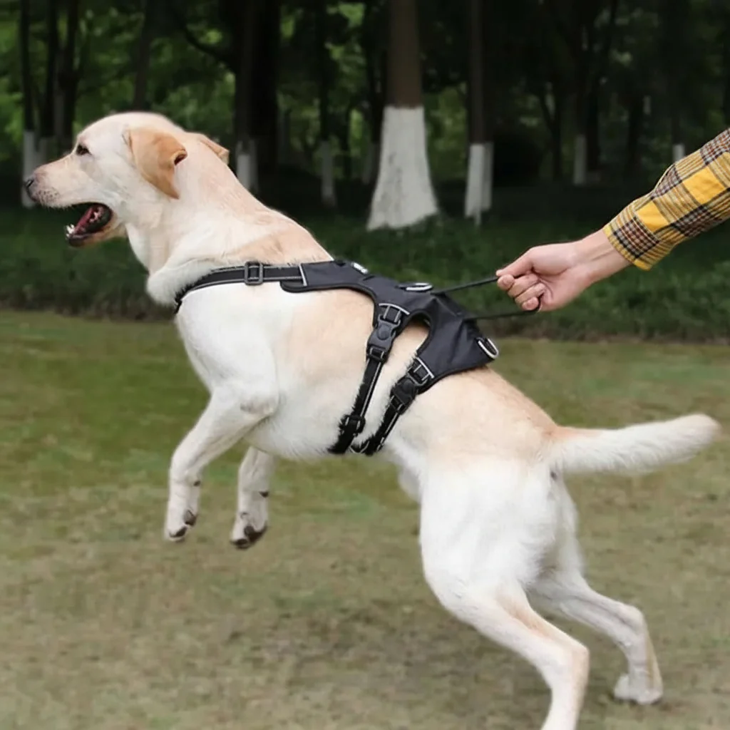 NoPull nylon dog harness - Reflective & escape-proof for relaxed walks - Image 4