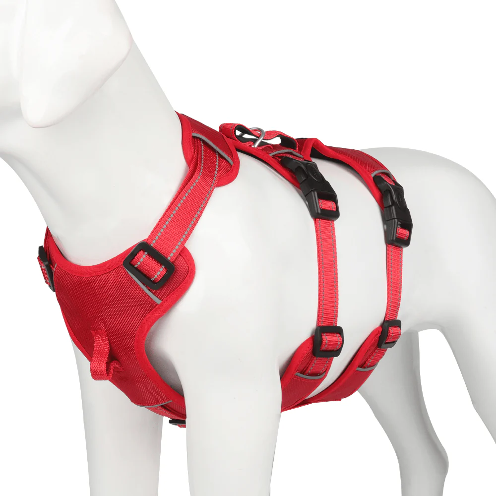NoPull nylon dog harness - Reflective & escape-proof for relaxed walks - Image 8