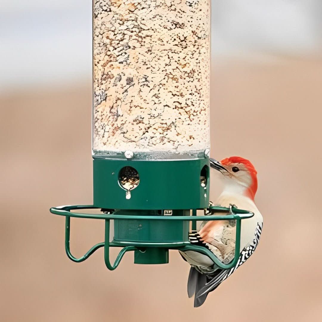 NutriGuard – Squirrel-Proof Birdhouse with Weight-Controlled Feeder - Image 3