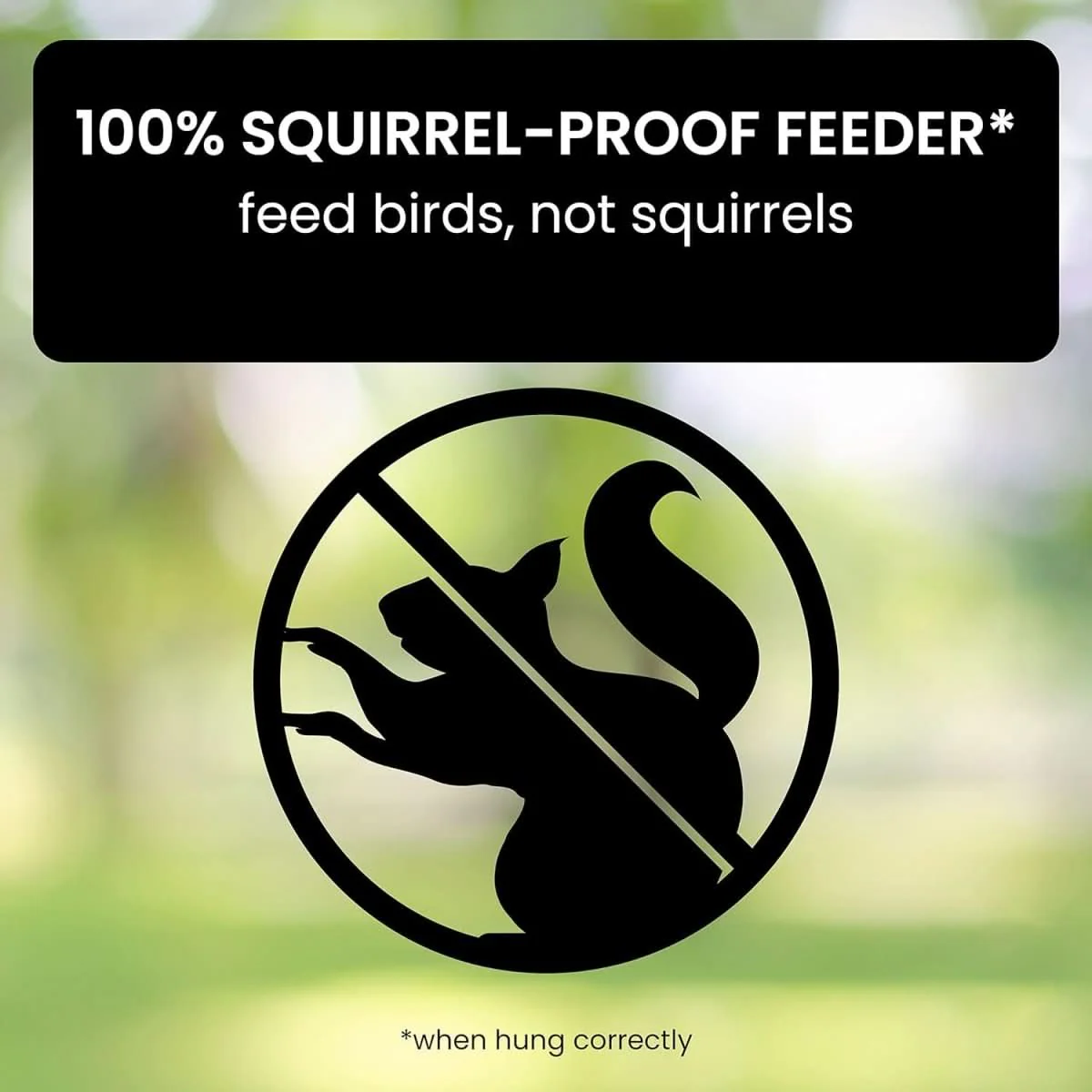 NutriGuard – Squirrel-Proof Birdhouse with Weight-Controlled Feeder - Image 4