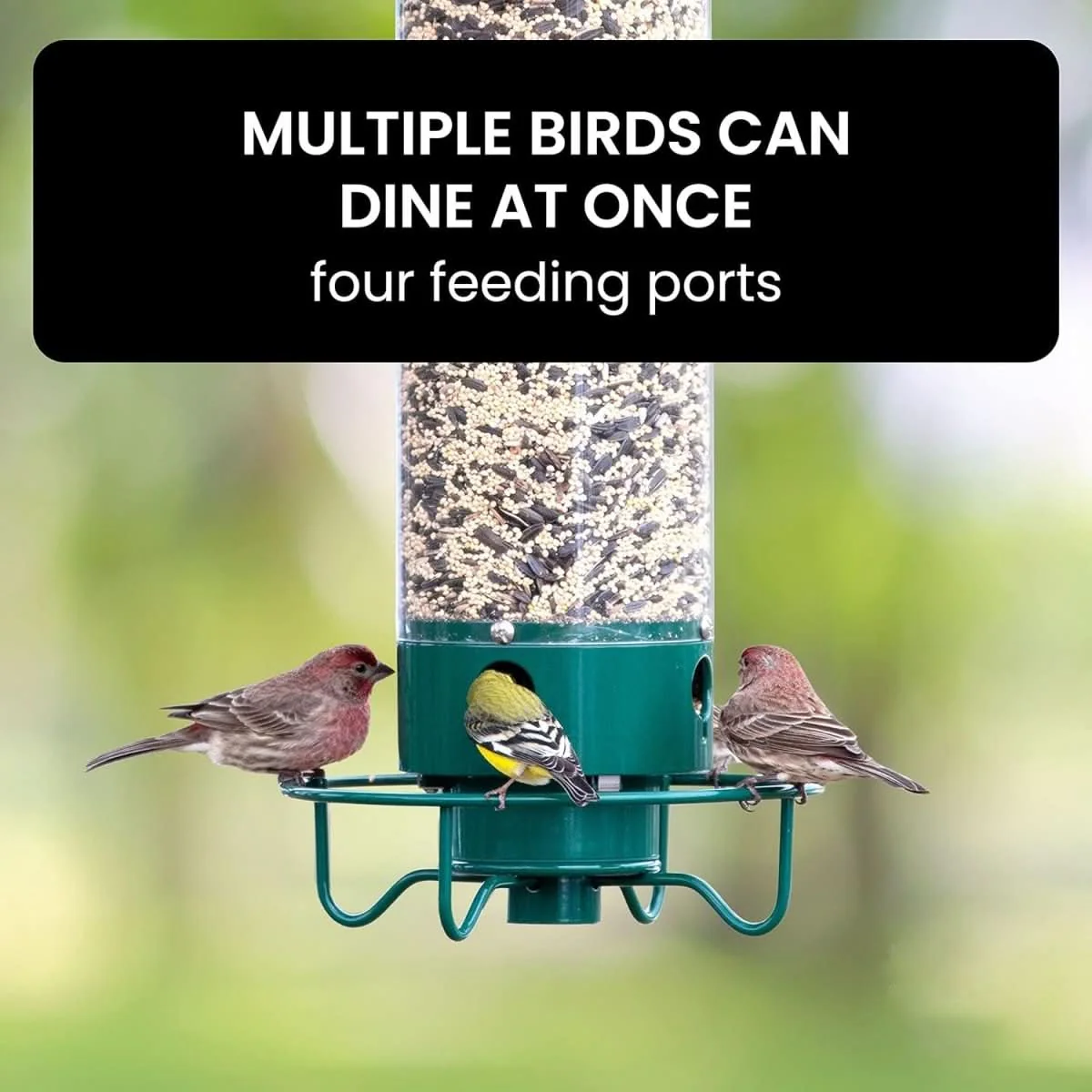 NutriGuard – Squirrel-Proof Birdhouse with Weight-Controlled Feeder - Image 5