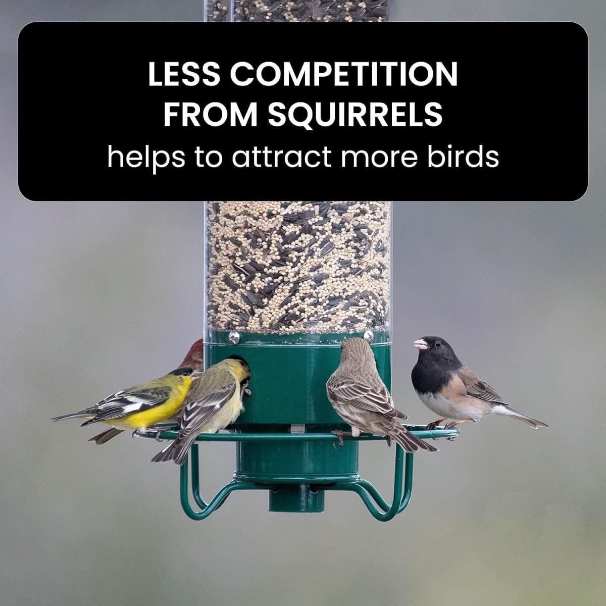 NutriGuard – Squirrel-Proof Birdhouse with Weight-Controlled Feeder - Image 7