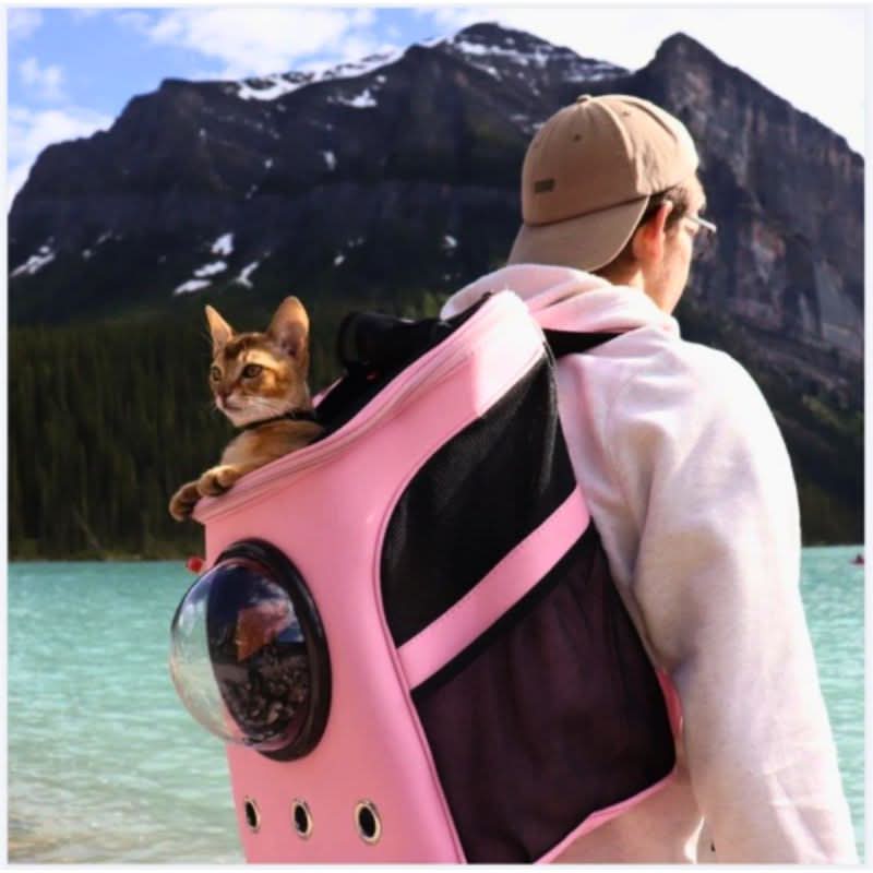PANORIX – Foldable Cat Travel Bag with Panoramic Window - Image 3