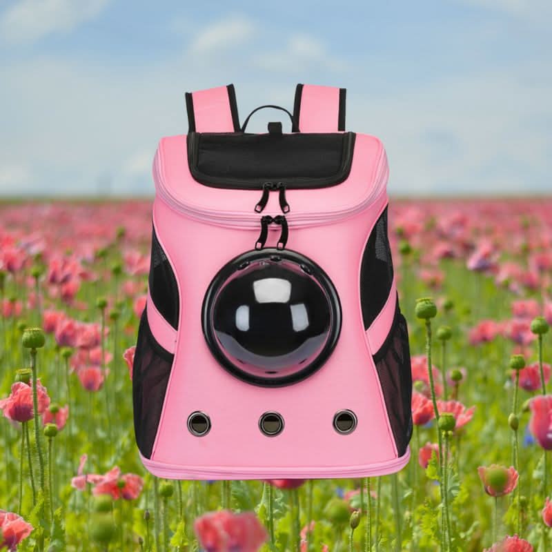PANORIX – Foldable Cat Travel Bag with Panoramic Window - Image 5