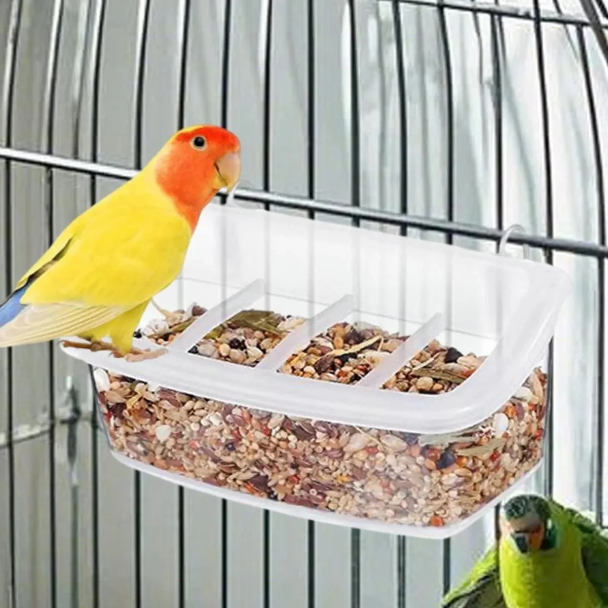 PARROTVIEW – Ecological parrot feeder with clear 360-degree view - Image 2