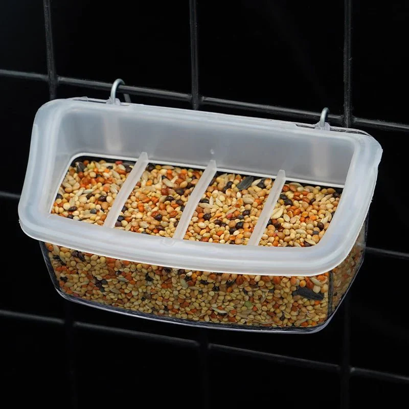 PARROTVIEW – Ecological parrot feeder with clear 360-degree view - Image 6