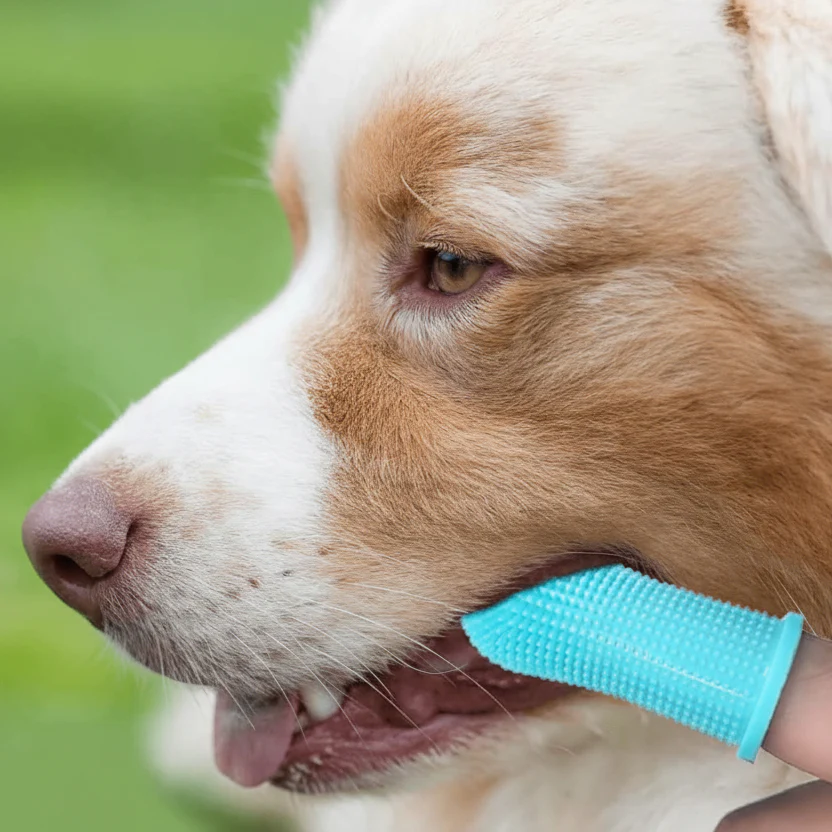 PAWCLEAN PRO - 360° silicone finger toothbrush for safe dental care for dogs - Image 4