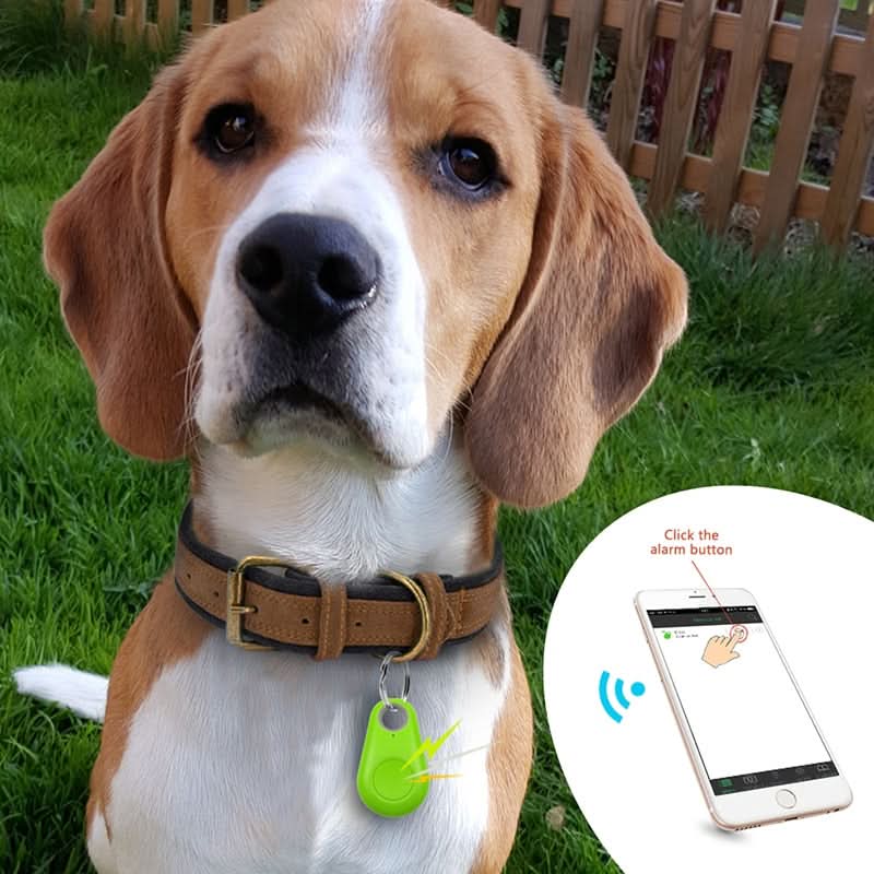 PAWFINDER - GPS tracker for pets with real-time tracking & safety zones - Image 3
