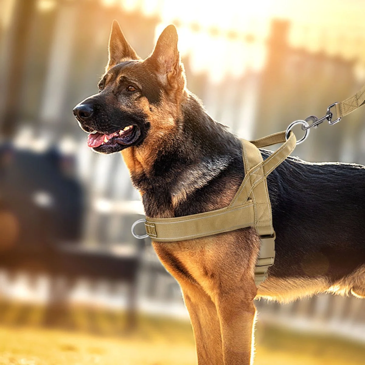 PAWGUARD – Adjustable Reflective Dog Harness with Handle for All Dog Breeds - Image 2