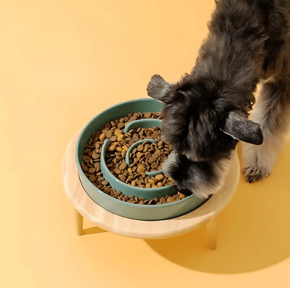 PawSavor – Premium Slow Feeder Bowl for Dogs & Cats - Image 4