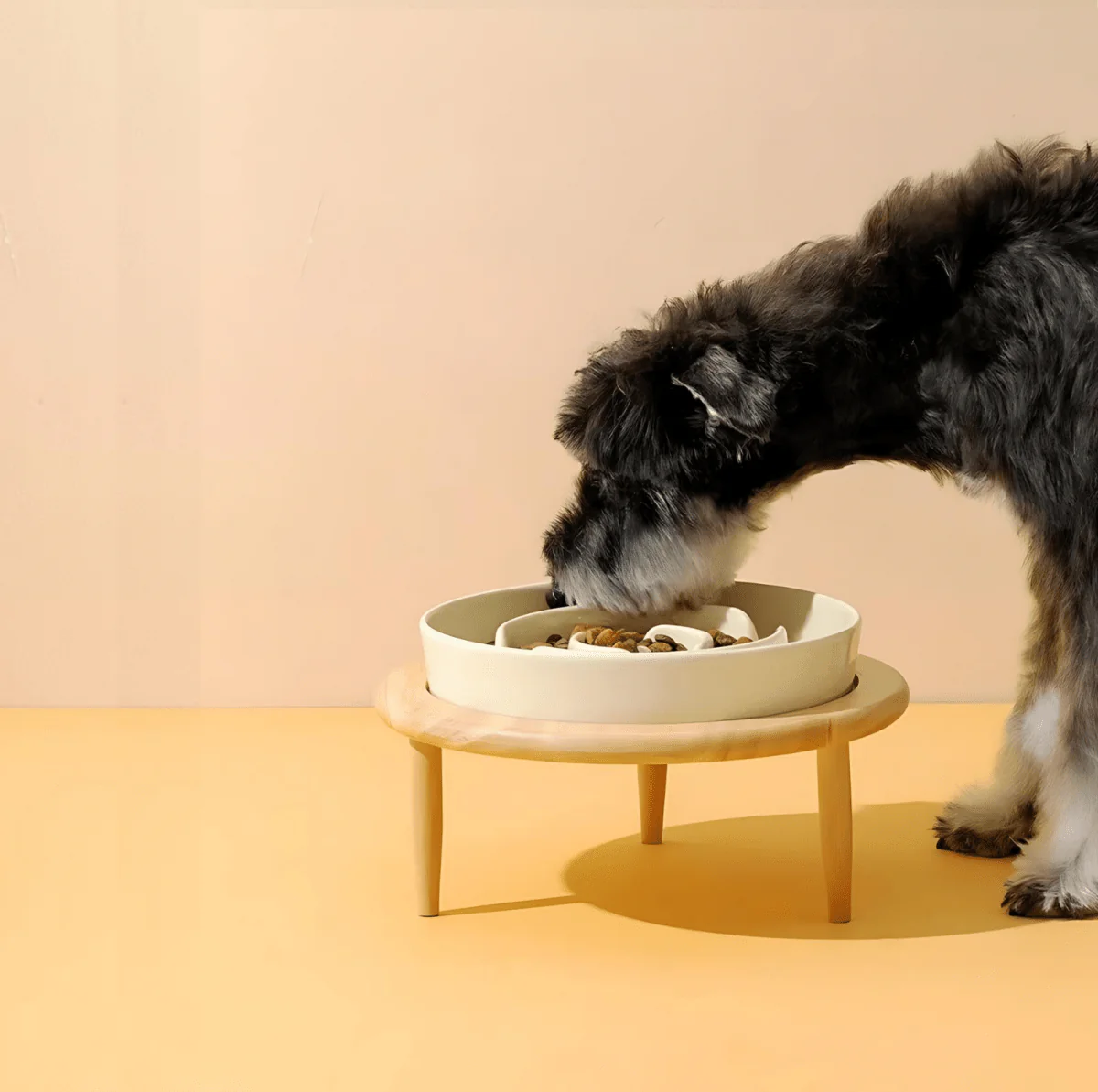 PawSavor – Premium Slow Feeder Bowl for Dogs & Cats - Image 5