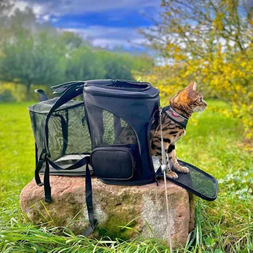PAWSPHERE – Comfortable Cat Backpack with Viewing Window - Image 4