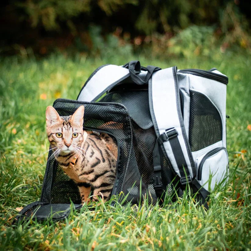 PAWSPHERE – Comfortable Cat Backpack with Viewing Window - Image 7