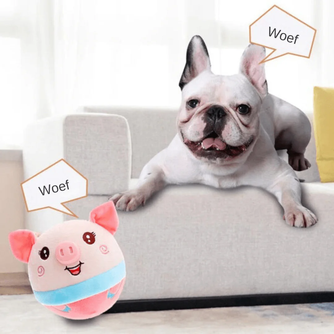 PAWSPHERE – Intelligent SmartBall for Active & Curious Dogs - Image 3