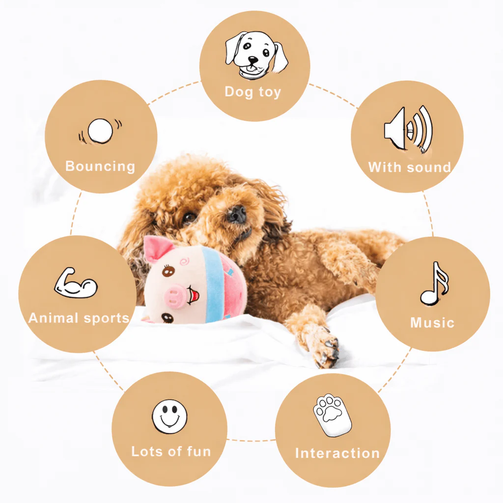 PAWSPHERE – Intelligent SmartBall for Active & Curious Dogs - Image 4