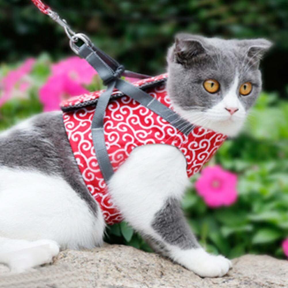 PAWVENTURE – Cat Harness Vest for Safety & Comfort - Image 2