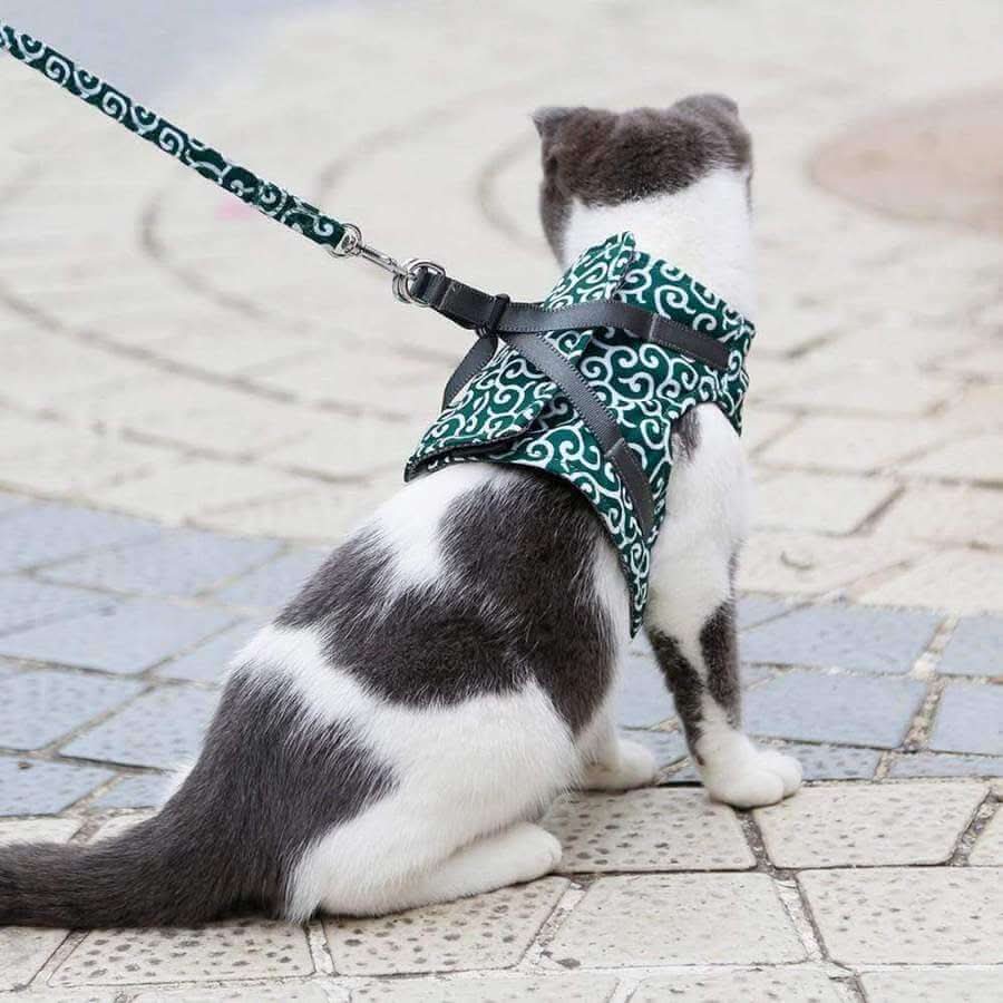 PAWVENTURE – Cat Harness Vest for Safety & Comfort - Image 4