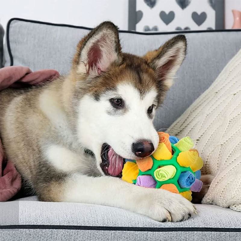 PAWZZLE MAT – Interactive Sniffing Toy for Mental Exercise - Image 4