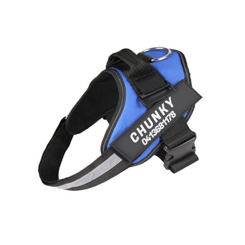 DOGSAFE HARNESS - Personalisable dog harness for comfort & safety - Image 3