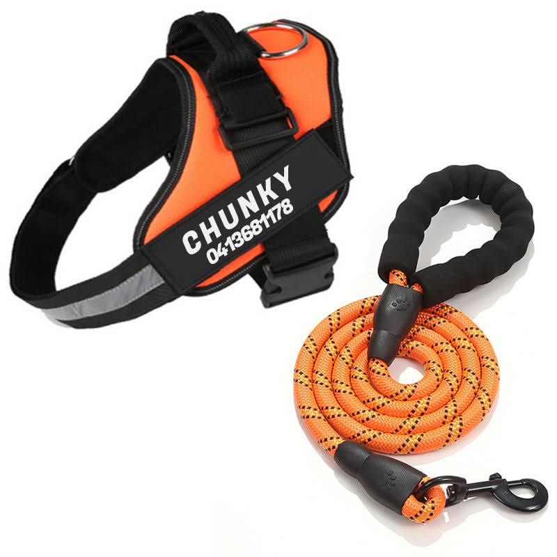 DOGSAFE HARNESS - Personalisable dog harness for comfort & safety - Image 4