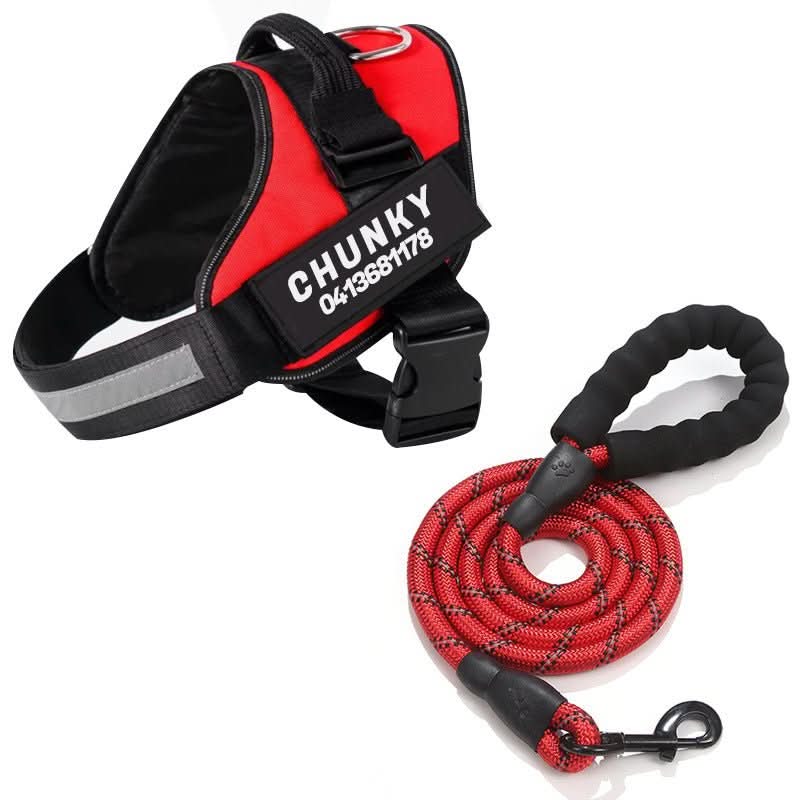 DOGSAFE HARNESS - Personalisable dog harness for comfort & safety - Image 7