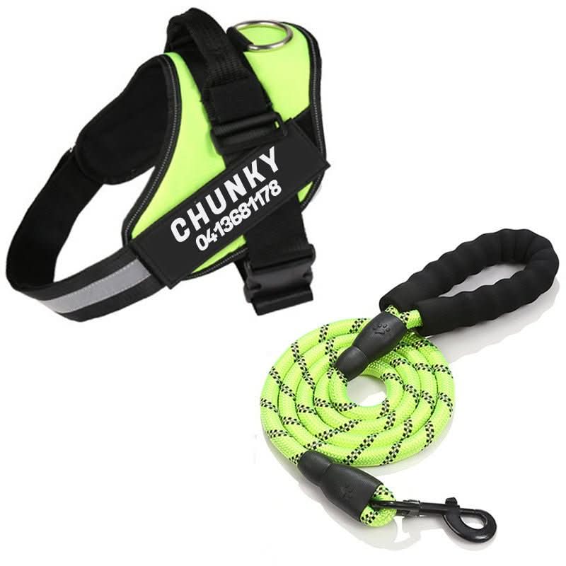 DOGSAFE HARNESS - Personalisable dog harness for comfort & safety - Image 8