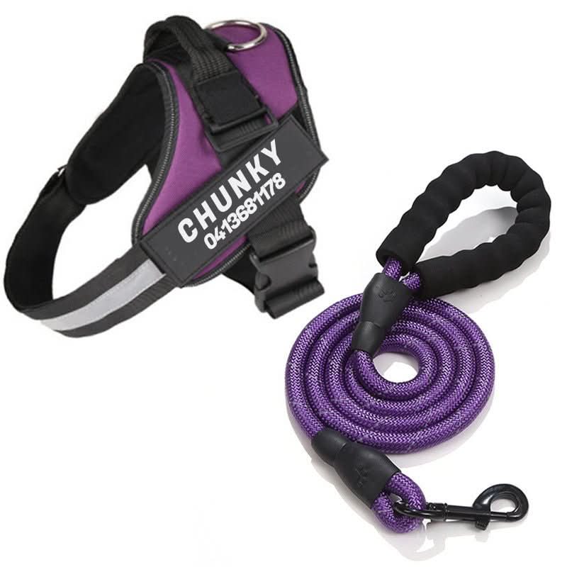 DOGSAFE HARNESS - Personalisable dog harness for comfort & safety - Image 9