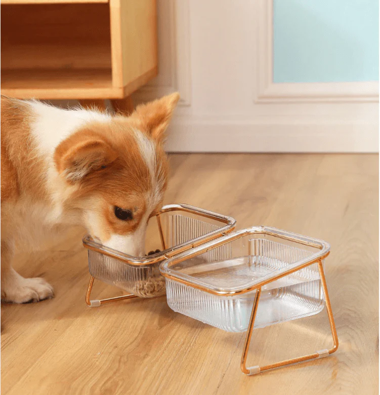 PETCHIC - Raised food bowl for cats & small dogs - Image 4