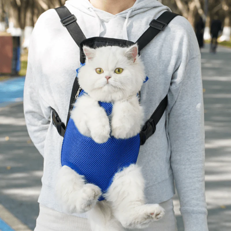 PETGO – Breathable travel backpack for comfortable pet carrying - Image 5