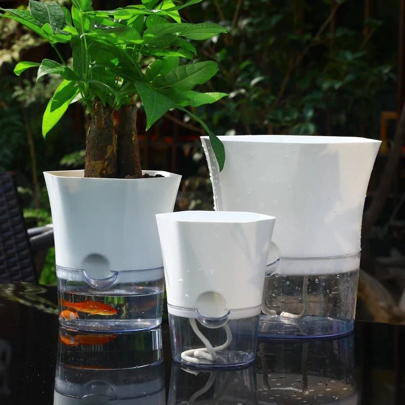 PLANTBASE – Self-watering Plastic Flowerpot for Clean Indoor Gardening - Image 2