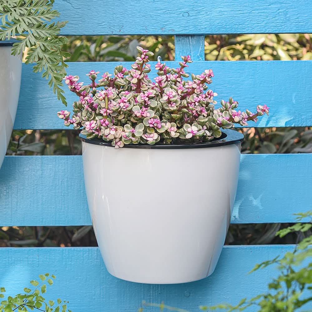 Plantiva – Vertical self-watering flowerpot for modern living - Image 3