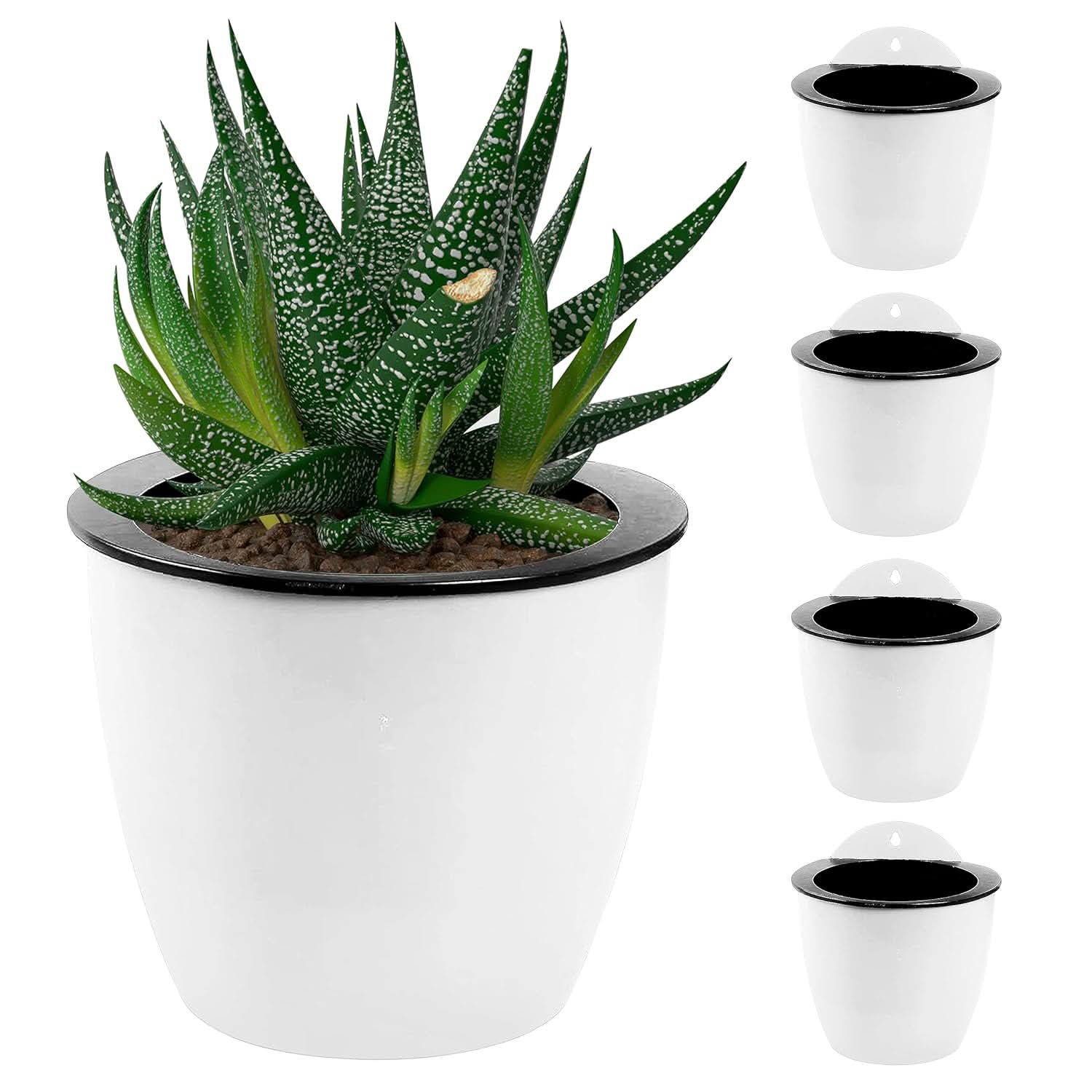 Plantiva – Vertical self-watering flowerpot for modern living - Image 5