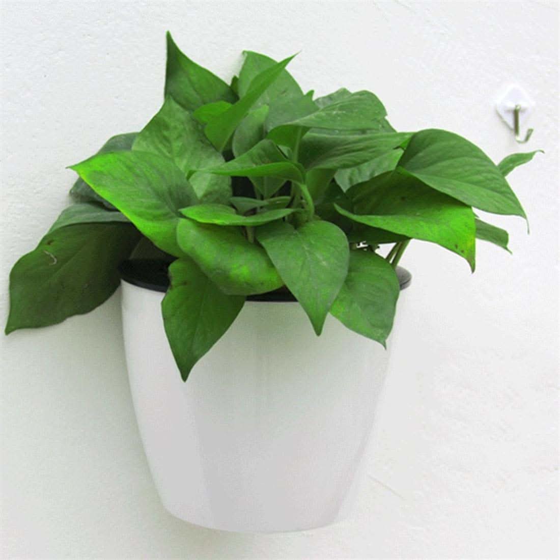 Plantiva – Vertical self-watering flowerpot for modern living - Image 6