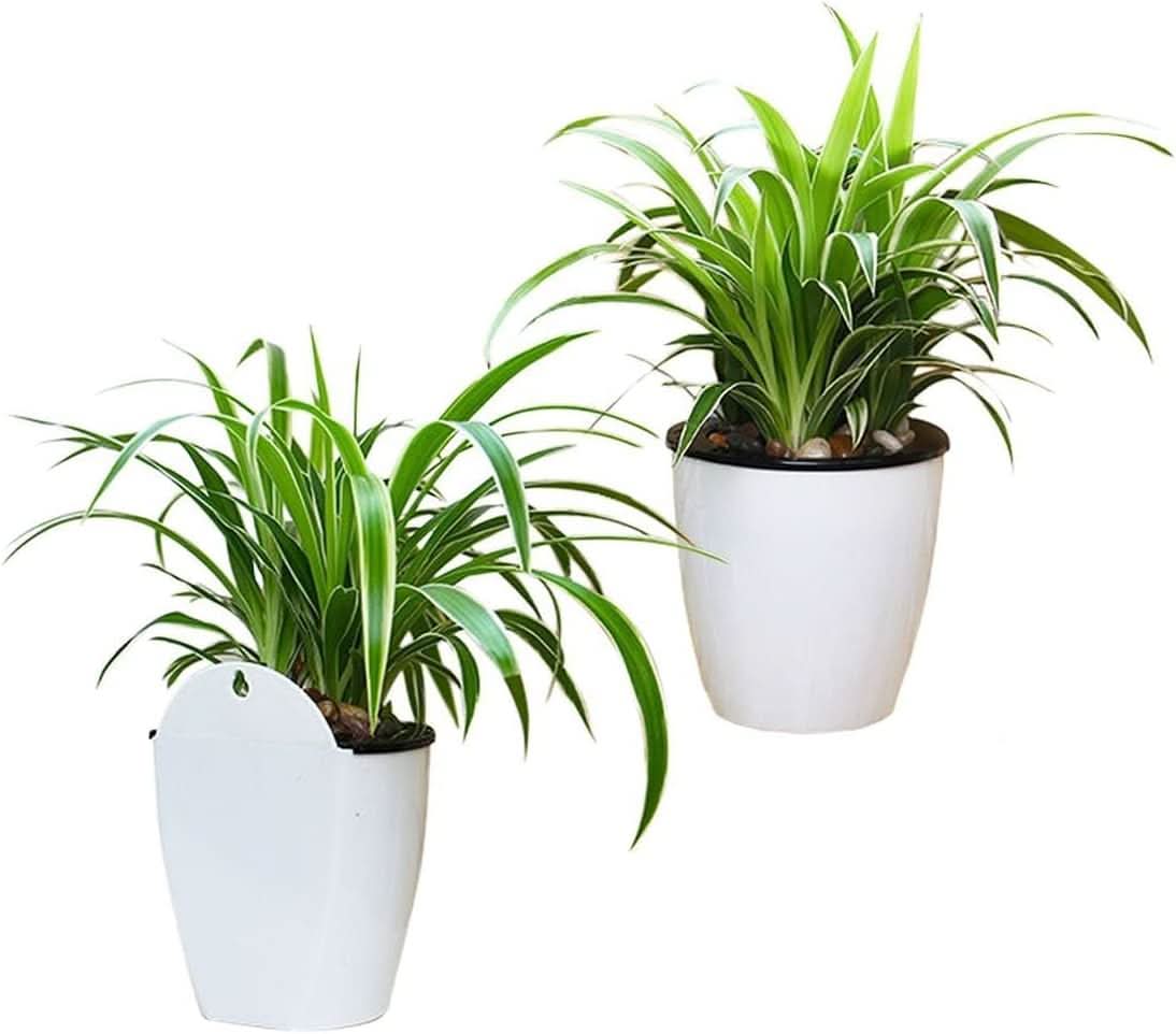 Plantiva – Vertical self-watering flowerpot for modern living - Image 8