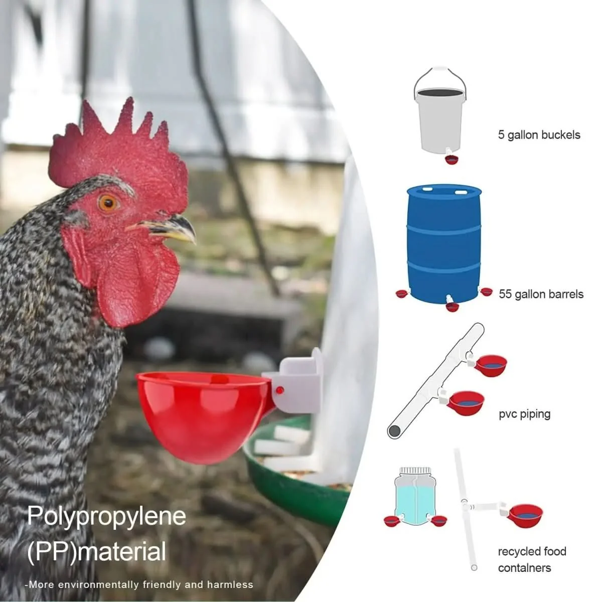 POULTRIX – Automatic Chicken Waterer for Healthy Flocks - Image 2