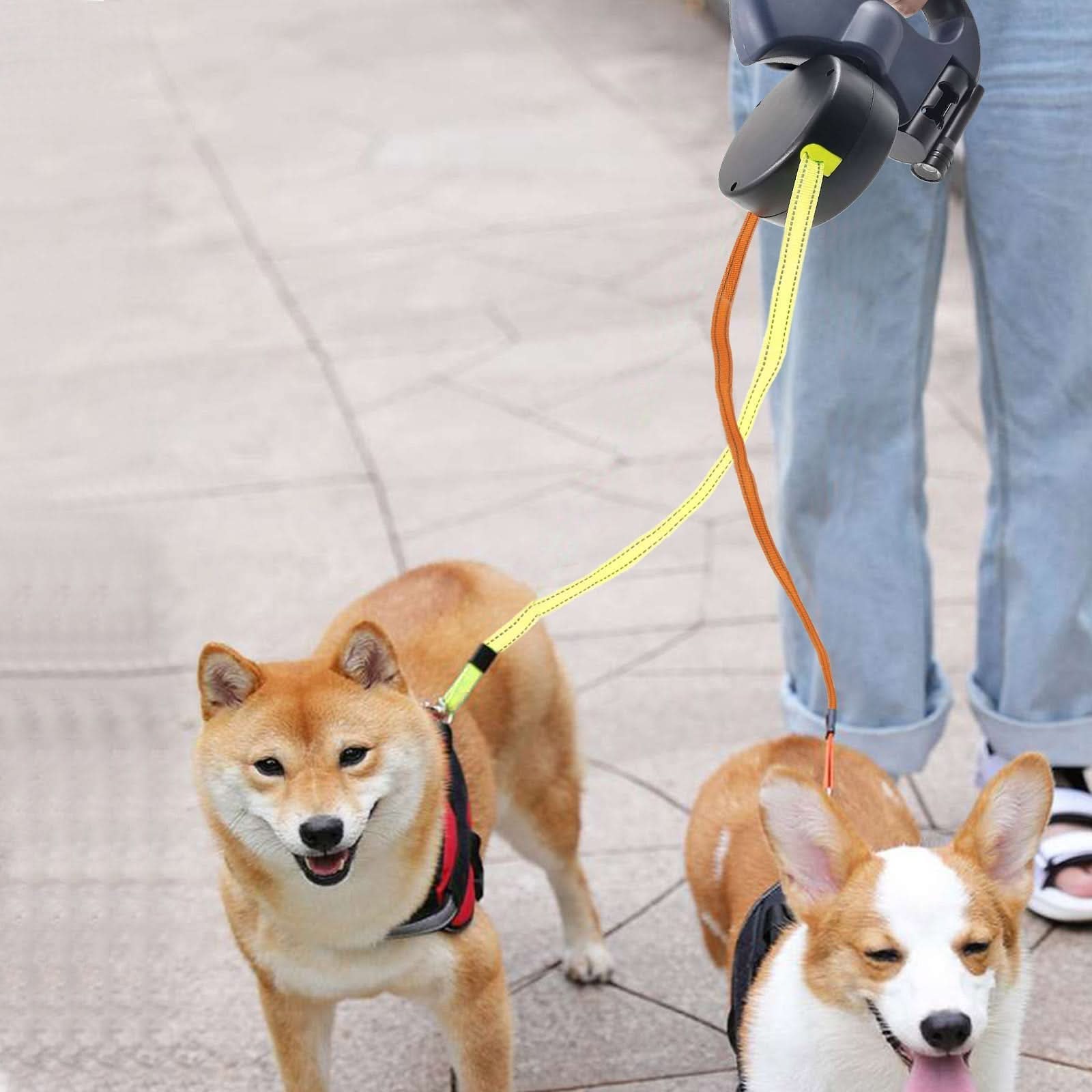PROPET DUO - Rolling lead for two dogs with integrated torch - Image 3