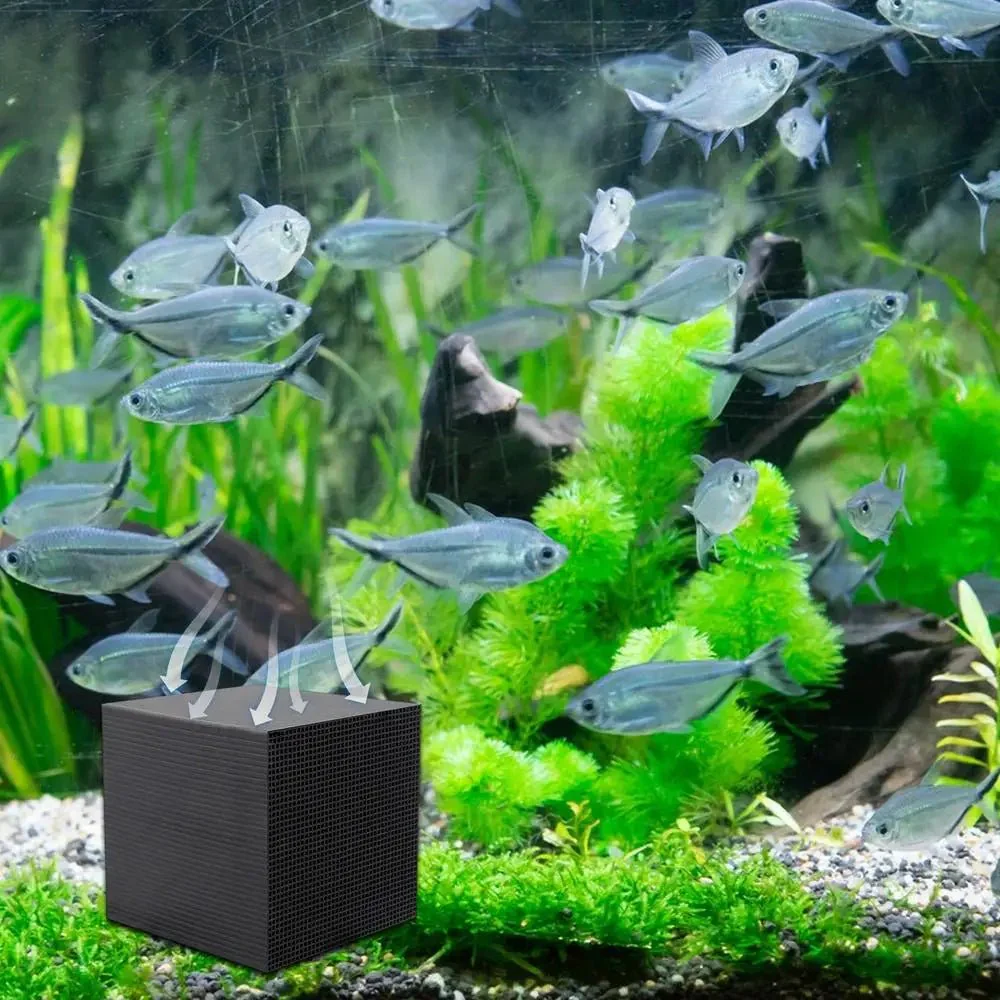 PUREHERD – Natural Organic Filtration Cube for Stable and Yard Water Systems - Image 7