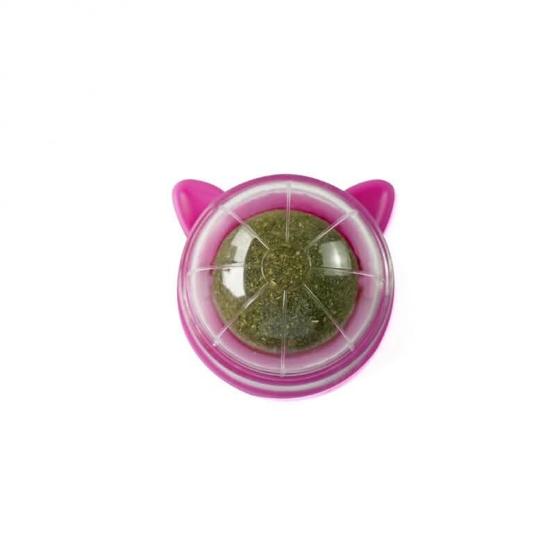 PURRFECT CATNIP TOY - toy with catnip for dental care & playtime fun - Image 12
