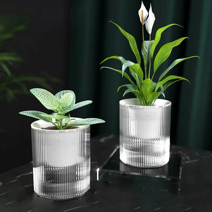 ROOTCARE – Self-watering indoor plant pot for easy water culture care