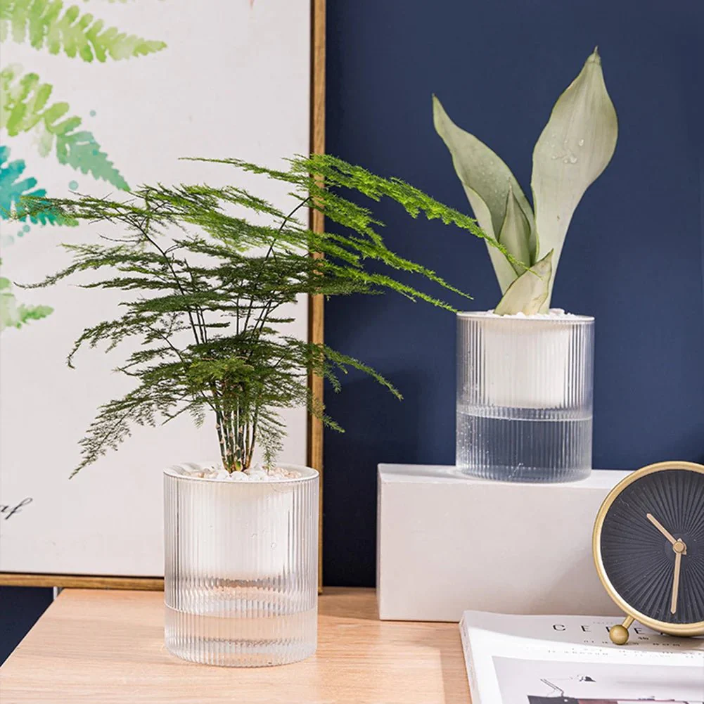 ROOTCARE – Self-watering indoor plant pot for easy water culture care - Image 2