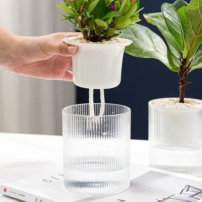ROOTCARE – Self-watering indoor plant pot for easy water culture care - Image 5