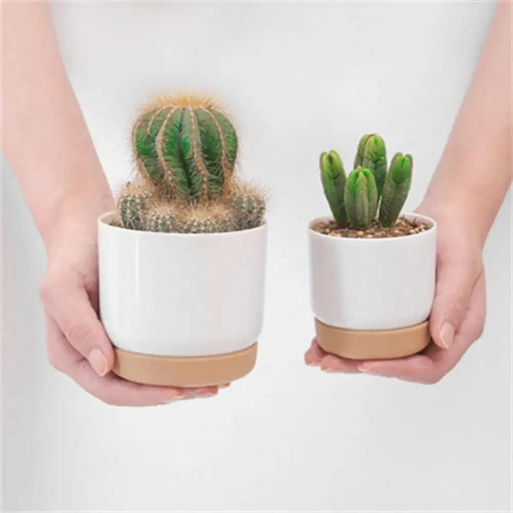 ROOTMIND – Intelligent self-watering pot for even watering - Image 5