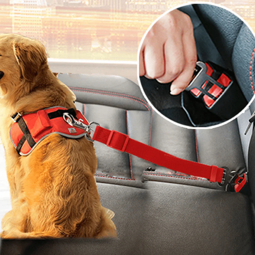 SAFEPAW - Adjustable seat belt for dogs in the car - Image 7