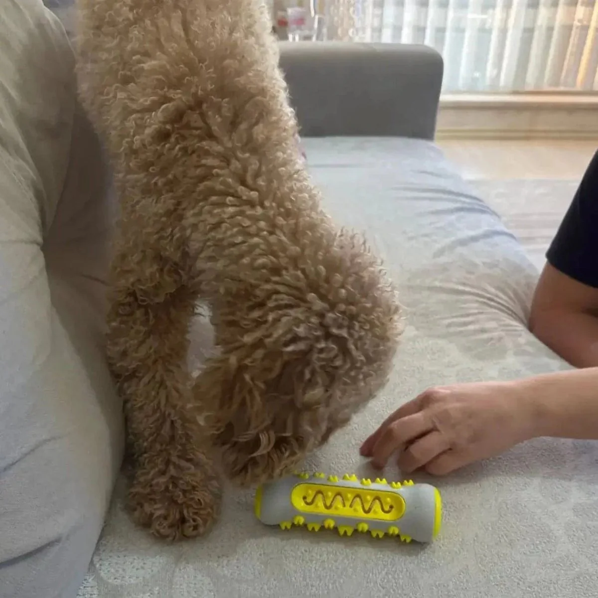 SERENITAIL – Fragrant Dog Toy with Gentle Herbal Infusion - Image 6